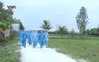 Các tổ chức Quốc tế giúp Việt Nam ứng phó với dịch tả lợn châu Phi
