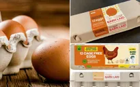 Australia thu hồi hàng trăm nghìn quả trứng do lo ngại nhiễm khuẩn salmonella