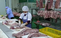 Các giải pháp bình ổn giá thịt lợn