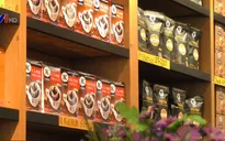 Việt Nam sản xuất cà phê Arabica chất lượng cao