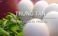Đến Quy Nhơn thưởng thức món trứng tan độc đáo