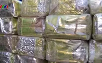 Philippines thu giữ 276kg ma túy tổng hợp
