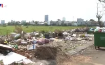 Ô nhiễm môi trường từ các khu đất bỏ hoang tại Đà Nẵng