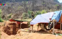 Tái diễn khai thác vàng trái phép ở vùng cao Thừa Thiên - Huế