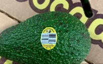 Thu hồi bơ ở 6 bang tại Mỹ do nhiễm vi khuẩn listeria