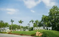 “Resort” bò sữa Vinamilk Tây Ninh - Ngôi nhà của những cô bò hạnh phúc