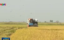 Ngân hàng Nhà nước đầu tư tín dụng phục vụ sản xuất nông nghiệp