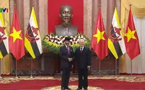 Đưa quan hệ Việt Nam - Brunei lên tầm đối tác toàn diện