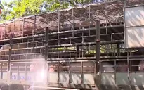 Doanh nghiệp kiến nghị thúc đẩy tiêu thụ thịt lợn trước ảnh hưởng dịch tả lợn châu Phi