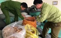 Hơn 7 tấn nguyên liệu thuốc bắc không rõ nguồn gốc bị thu giữ
