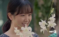 Những cô gái trong thành phố - Tập 28: Tặng Lan nhành lan trắng, Lâm úp mở nói lời từ biệt