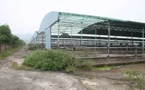 Khởi tố, bắt tạm giam bổ sung 4 đối tượng trong vụ án tại Ngân hàng BIDV