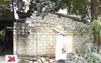 Hải Dương là địa phương thứ 7 xuất hiện dịch tả lợn châu Phi