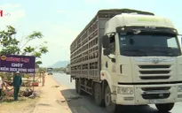 Đồng Nai triển khai các biện pháp ngăn dịch tả lợn châu Phi