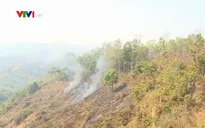 Nhiều ha rừng ở Gia Lai bị cháy do chủ quan
