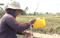 Nắng nóng kéo dài, người dân Gia Lai thiếu nước sinh hoạt