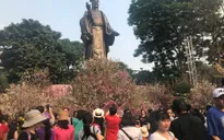 Hàng ngàn người dân tham dự lễ hội Hoa anh đào Nhật Bản - Hà Nội 2019
