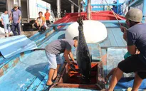 Xây dựng nghề cá có trách nhiệm