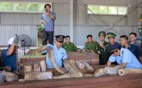 Khẩn trương điều tra mở rộng vụ án vận chuyển trái phép ngà voi