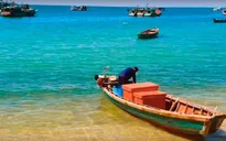 Nước mắm Việt và hành trình đến Liên hoan phim quốc tế