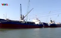 Thu hồi trả lại Nhà nước hơn 75% cổ phần bán sai tại cảng Quy Nhơn