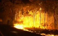 Nỗ lực dập cháy rừng tại Australia