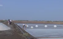 Dự án kho dự trữ muối quốc gia bị bỏ hoang
