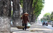 Trời chuyển nắng, nhiệt độ tăng ở khu vực Bắc miền Trung