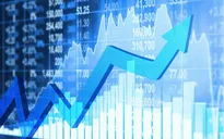 Thị trường chứng khoán trong nước đồng loạt đi lên trong phiên giao dịch đầu tuần