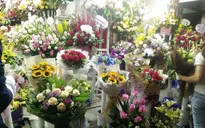 Phong phú thị trường hoa ngày 8/3