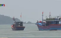 Quảng Nam - Quảng Ngãi phối hợp quản lý tàu cá hoạt động trên biển