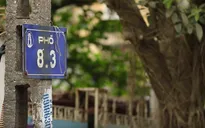 Phố 8-3 và kí ức của những công nhân nhà máy dệt