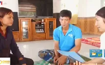 Trắng tay do trồng cà chua thân gỗ