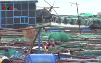 Vùng nuôi thủy sản Vạn Ninh phải di dời vào năm 2025