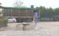 Bắc Giang ngăn chặn dịch tả lợn châu Phi từ gốc
