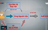 Bất cập việc cấp mã code trái cây xuất khẩu