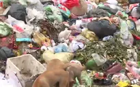 Người dân "kêu trời" vì điểm tập kết rác bị biến thành bãi rác hôi thối