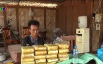 Biên phòng Quảng Trị bắt vụ vận chuyển hơn 100.000 viên ma túy