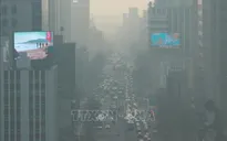 Mật độ bụi siêu mịn ở Seoul, Hàn Quốc chạm ngưỡng kỷ lục