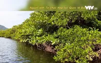 Việt Nam theo đuổi chính sách thích ứng biến đổi khí hậu