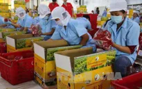 Tăng trưởng tín dụng đạt 2,38% trong quý I