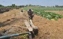 Nông dân khoan giếng, xây hồ dự trữ nước cứu cây trồng
