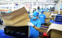 Hãng điện tử Việt dùng giấy tái chế thay thế nylon