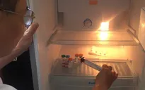Lào Cai: Trẻ 34 tháng tử vong sau tiêm vaccine viêm não Nhật Bản