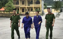 Có tới 20 phụ nữ trong đường dây mang thai hộ xuyên quốc gia
