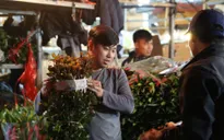 Đêm không ngủ ở chợ hoa nổi tiếng Hà Nội