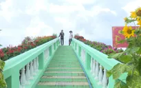 Làng hoa Sa Đéc tất bật đón du khách dịp nghỉ lễ 30/4, 1/5