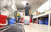 Nhiều vi phạm an toàn thực phẩm tại Công ty TNHH Ha Hae Việt Nam