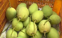 Tiền Giang chuẩn hóa nhiều đặc sản