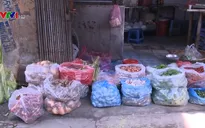 Khó khăn đưa túi nylon tự phân hủy vào đời sống